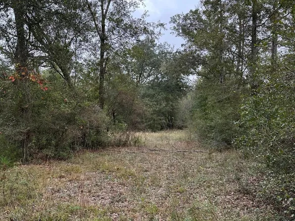 0 Baxter Rd, Malone, FL 32445