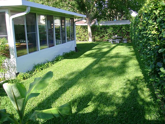back yard showing banana trees
