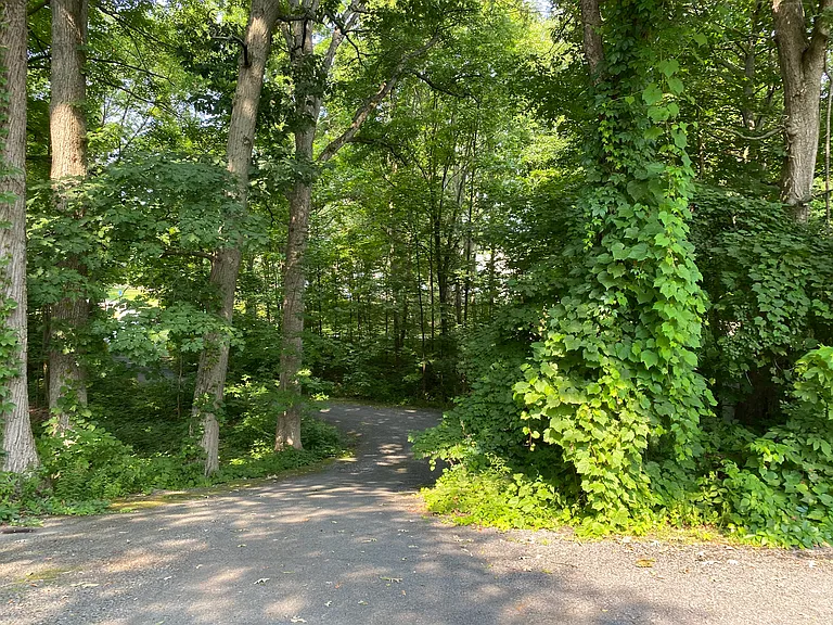 47602 Westminster Park Rd — Photo 3