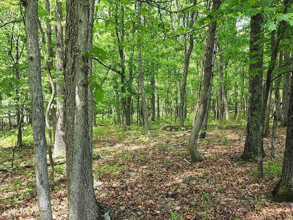 2nd image of Cottontail Ln #64