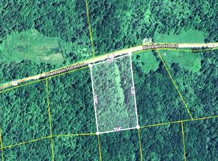 L2.29 Blenheim Hill Road, Jefferson, NY 12131