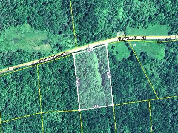 L2.29 Blenheim Hill Road, Jefferson, NY 12131