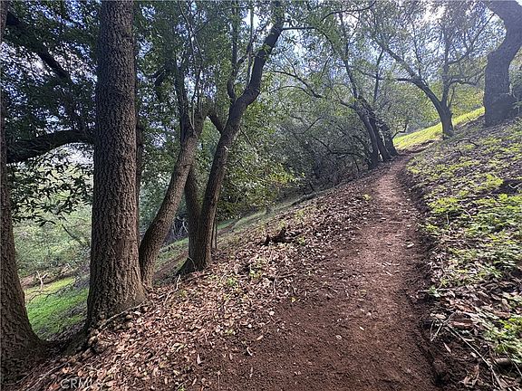 4th image of 12000 San Marcos Rd #39