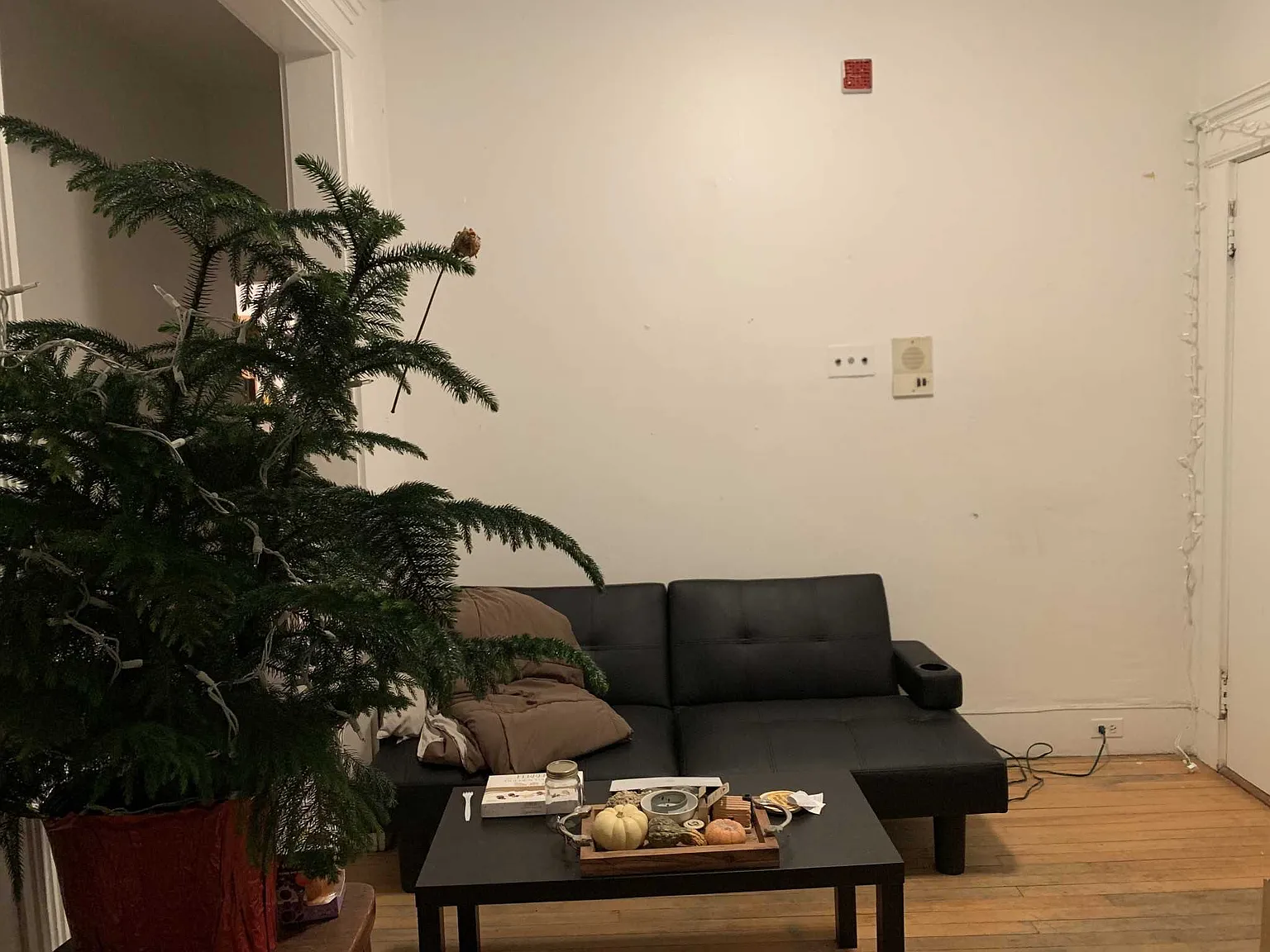 2 bed, $3,700 — Photo 4