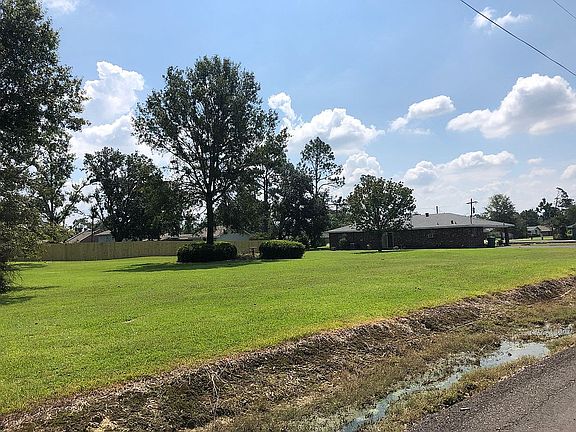 Back yard view from the road
