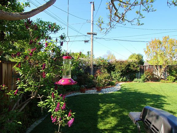 5th image of 1235 Pampas Dr