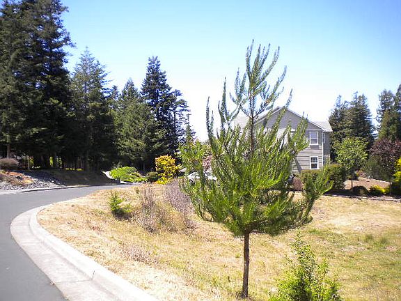 3rd image of 4264 Forest Hills Dr