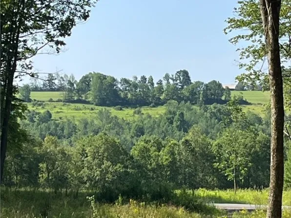 0 Lilley Hill Rd, Unadilla, NY 13849