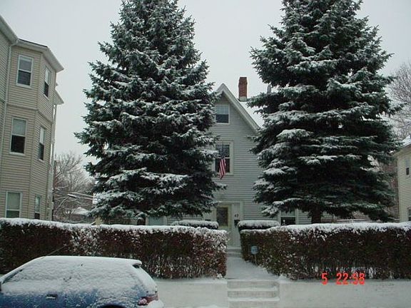 Winter