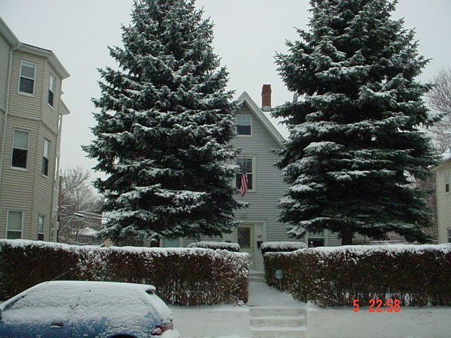 Winter