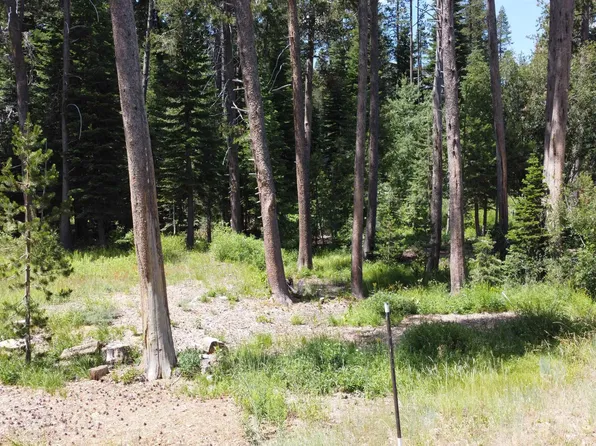 10200 Tinker Ct, Truckee, CA 96161