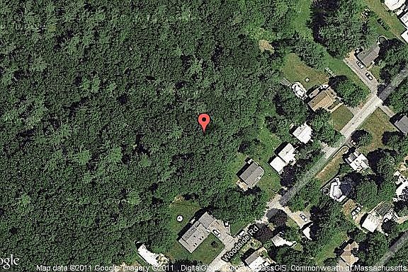 Map View