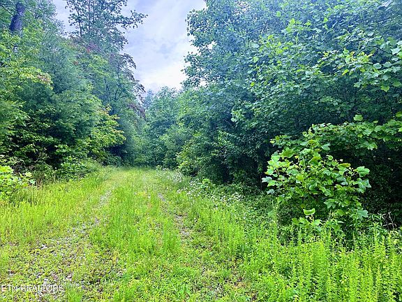 3rd image of 13.44 Chestnut Ridge Rd