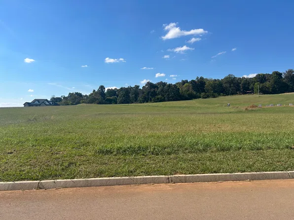 LOT 80 Meadow Vista Way, White Pine, TN 37890