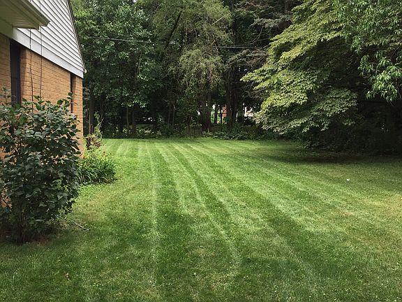 Beautiful lawn
