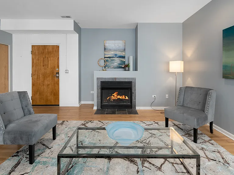 1808 S Michigan Ave #12 — Photo 3