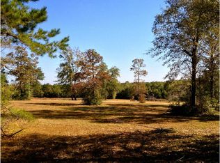 671 Restertown Rd, Poplarville, MS 39470