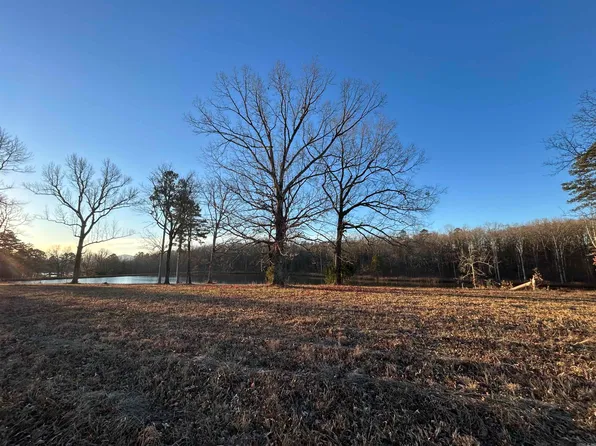 TRACT 2 Polk Rd #298, Mena, AR 71953