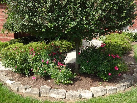 4th image of 74 Wexford Dr