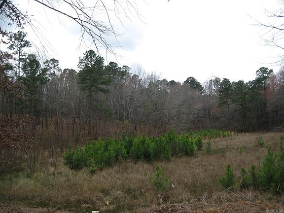 3rd image of 0 Willow Springs Rd