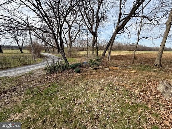 5th image of 376 Logie Ln