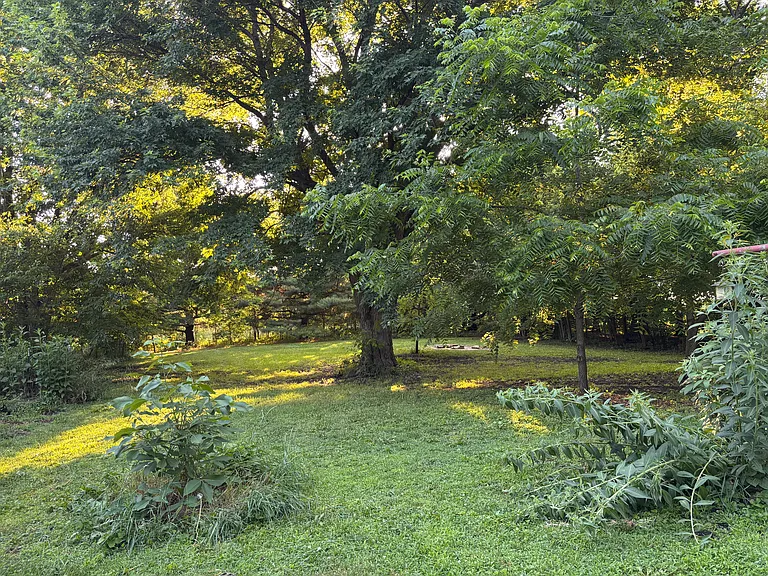 Yard behind house
