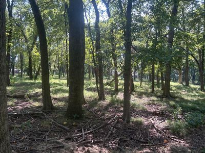 LOT 22 S Coves Dr, Afton, OK, 74331