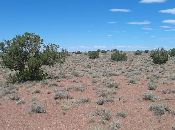 5127 Windmill Ln, Snowflake, AZ 85937
