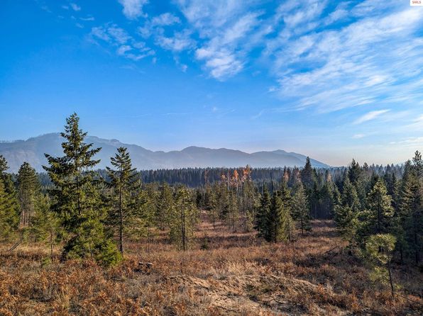 10 Saddleback Dr, Naples, ID 83847