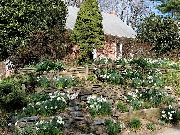 8802 Brierly Rd, Street View