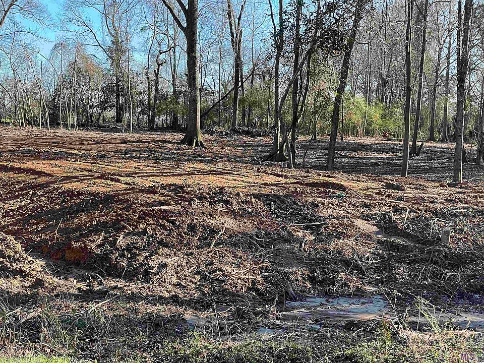 2nd image of 14678 State Highway 10