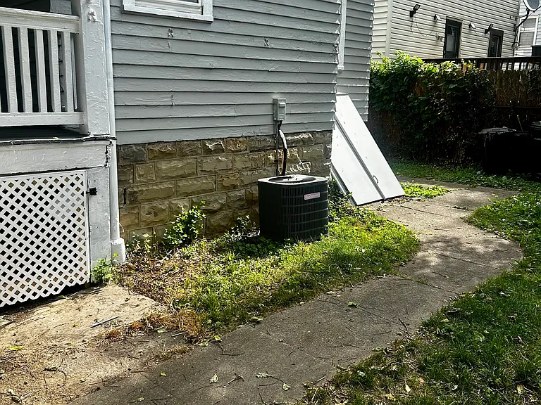 Quaint backyard