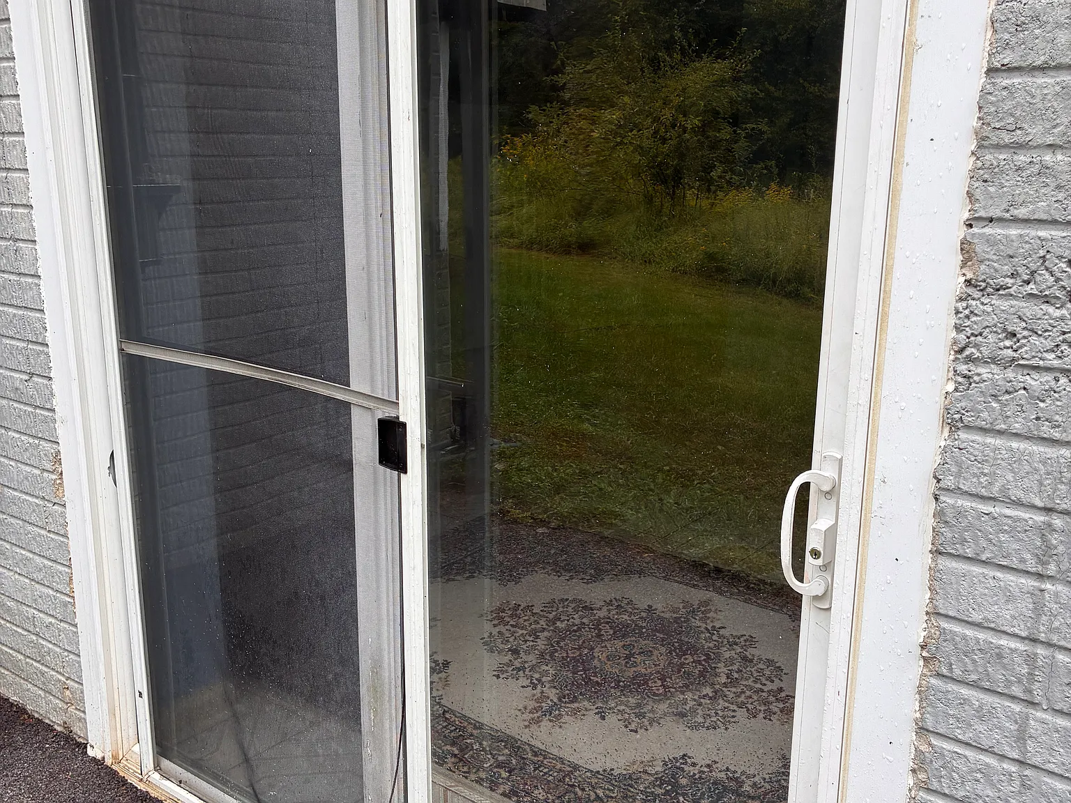 2 bed, $2,000 — Photo 3