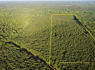 TRACT Two 3 County Rd #1512, Avinger, TX 75630