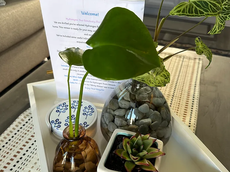 Hydrangea Dr — Photo 17