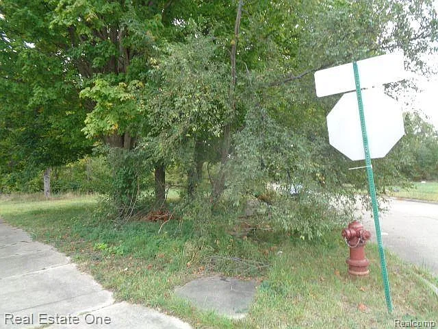 12936 Fielding St photo 1
