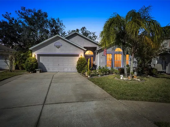 4704 Bear Claw Ct, Valrico, FL 33594