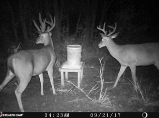 463 E Saint Stephens Rd, Prentiss, MS 39474