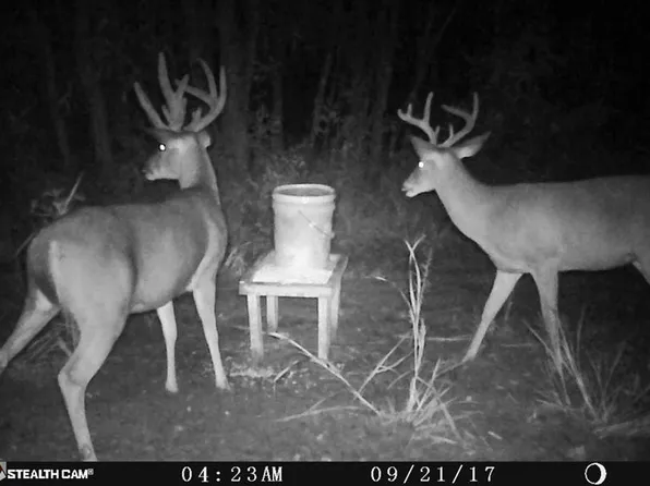 463 E Saint Stephens Rd, Prentiss, MS 39474