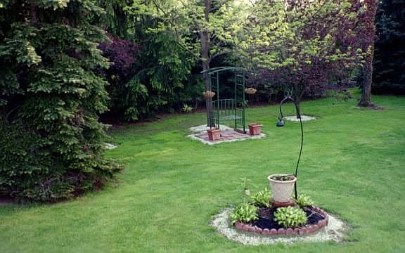 Left side of backyard
