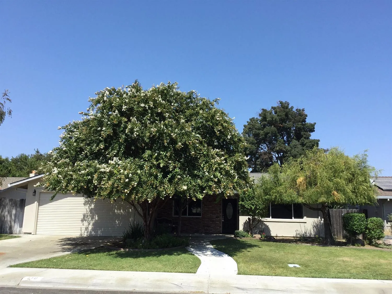 410 Buena Vista Way photo 1