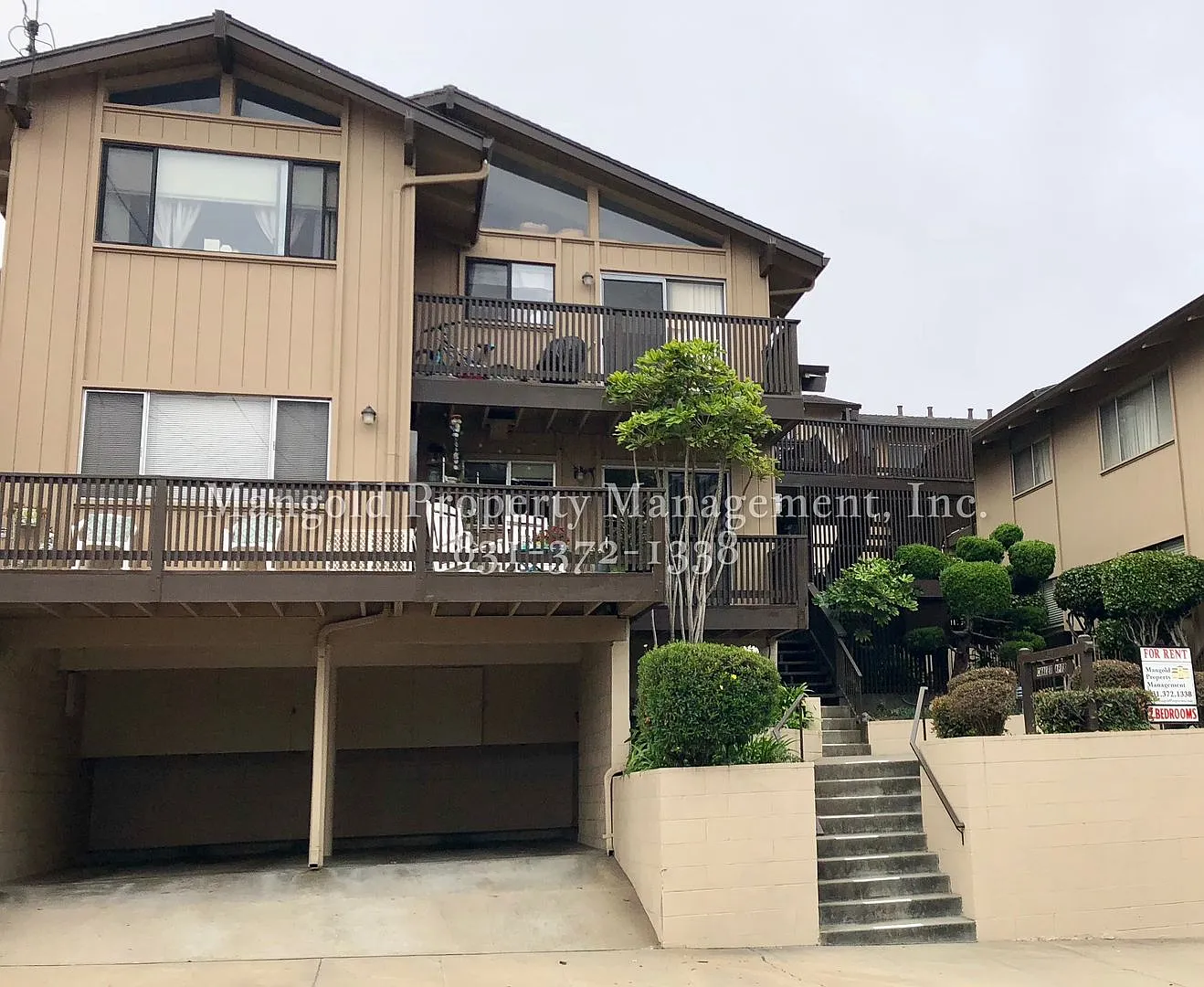491haw — Photo 3