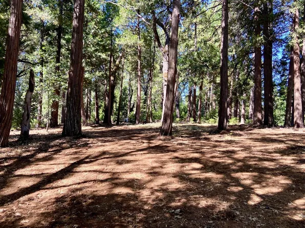 6060 Dolly Varden Ln, Pollock Pines, CA 95726
