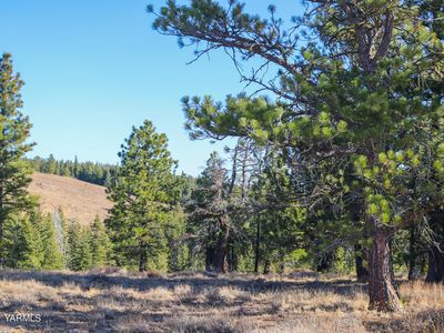 Nka Cowiche Mill Rd, Cowiche, WA, 98923