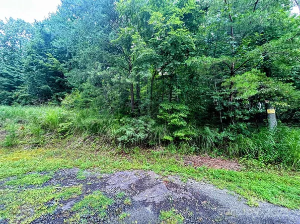 5 Azalea Way, Saluda, NC 28773