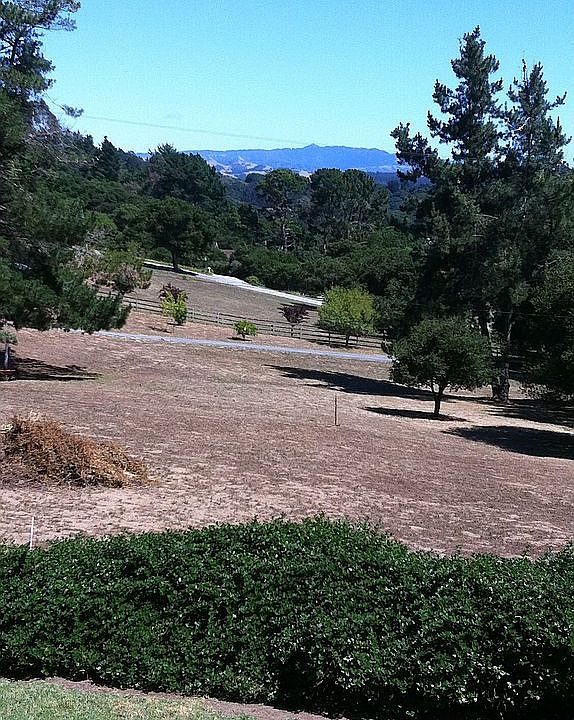 Front Yard View of Freemont Peak