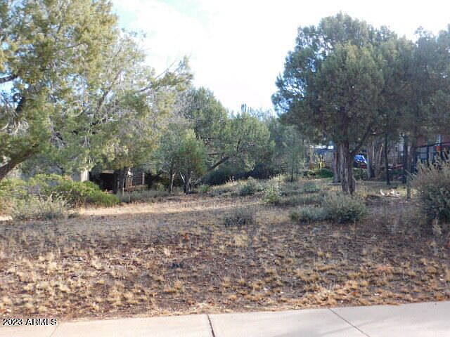 1st image of 1019 S PONDEROSA Street #15