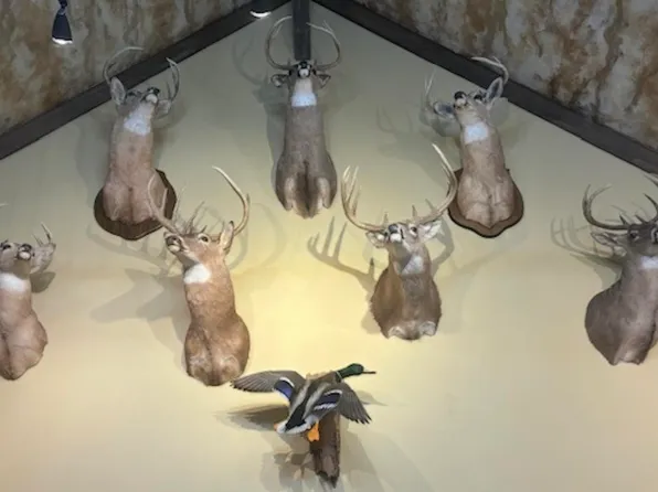 201 Morgan Loop Rd, Dewitt, AR 72042