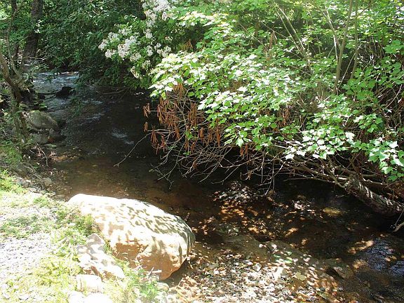4th image of 1089 Creekside Dr #23