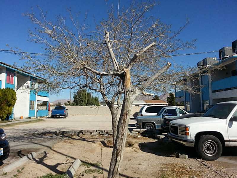 2nd image of 2240 N Pecos Rd